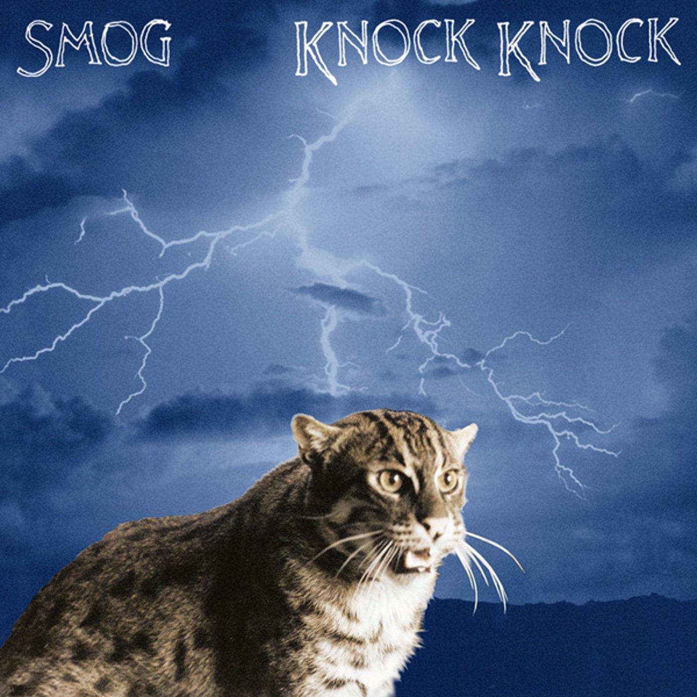 knock knock_smog
