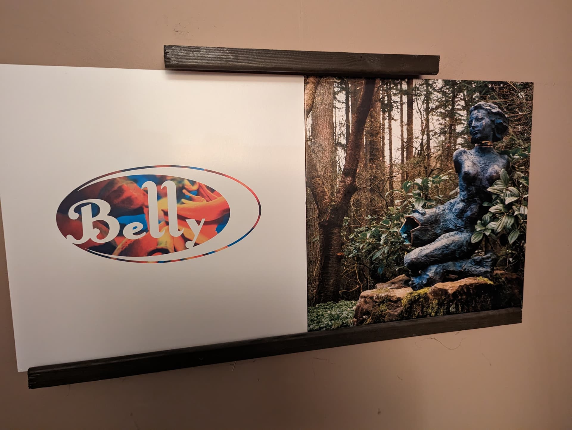 PXL_20230625_084044695.MP