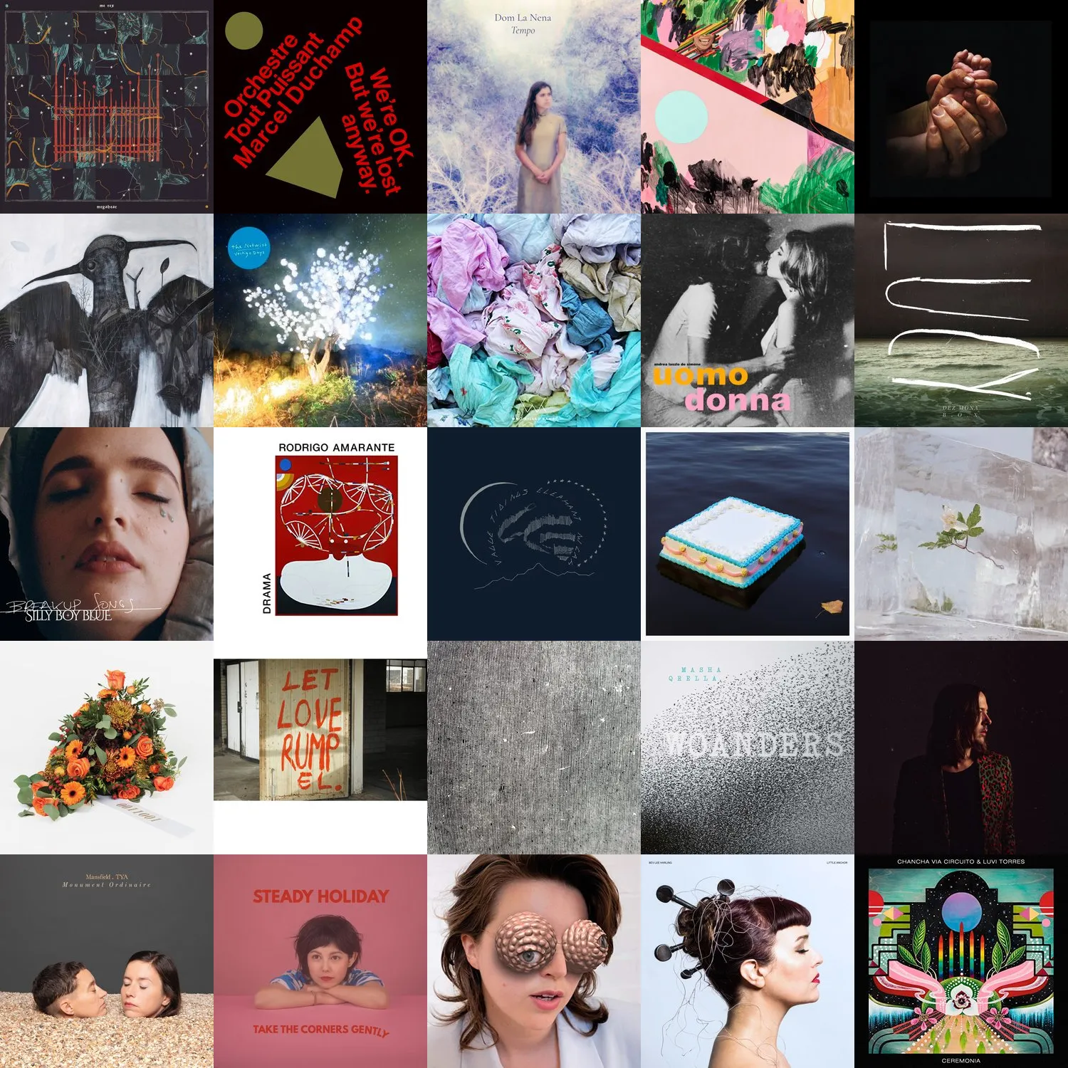 collage_albums_5x5_1year.png
